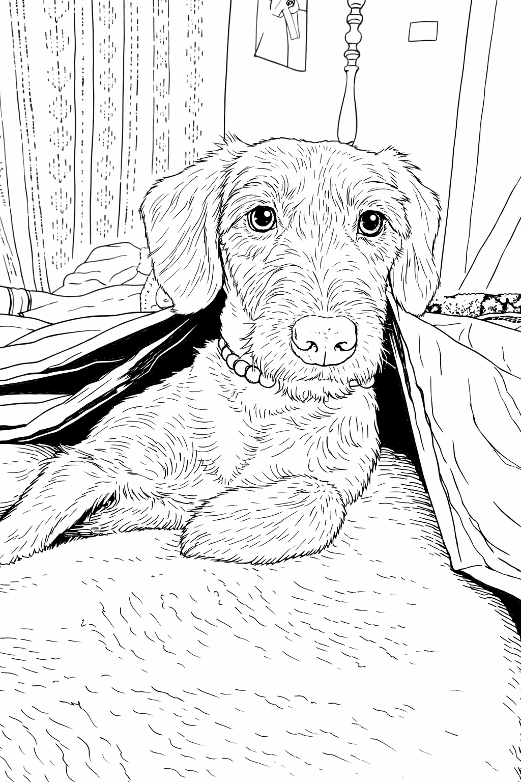 Pet Lovers Personalized Coloring Book